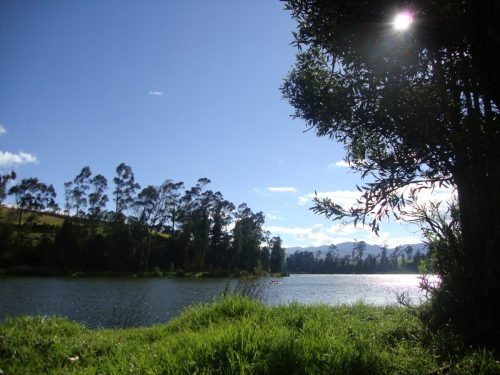 DSC00419